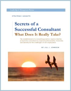 WHITE PAPER - Secrets of a Successful Consultant - COVER - FRAMED